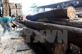 Vietnam reporta ingreso multimillonario por exportación de productos madereros