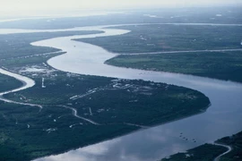 Vietnam busca estimular desarrollo turístico del delta del río Mekong