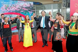 Vietnam prioriza asuntos de nacionalidades, afirma presidente 