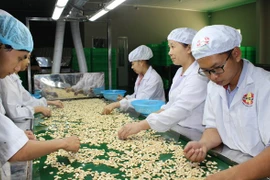 Valor de exportación de anacardo prevé romper en 2017 el récord en 12 años