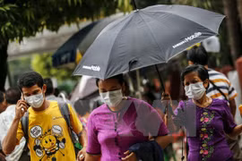 Registran brotes de gripe aviar en Myanmar