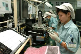 Aumenta número de nuevas empresas en provincia vietnamita