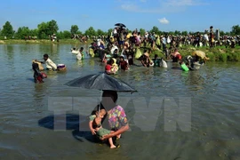 Myanmar otorga más de siete mil tarjetas de identidad en Rakhine