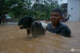 Cantidad de muertos por ciclón en Indonesia aumenta a 41