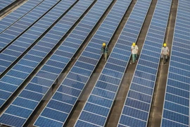 Vietnam dispone de grandes potencialidades para desarrollo de energías renovables