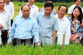 Abogan por establecer zona agrícola de alta tecnología en provincia survietnamita