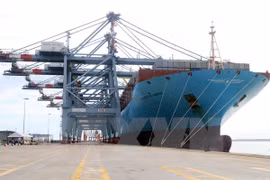 Puerto vietnamita de Cai Mep recibe carguero de 160 mil toneladas 