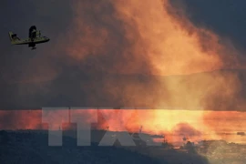 Malasia dispuesta a ayudar a Indonesia a combatir incendios forestales