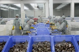 Vietnam invierte en mejorar la competitividad del sector acuícola