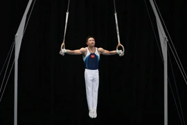 Gimnasia de Vietnam gana oro y plata en SEA Games 29