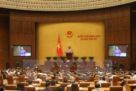  Asamblea Nacional de Vietnam continúa sesión de interpelación 