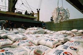 Camboya exportó más de 400 mil toneladas de arroz en primeros nueve meses de 2017