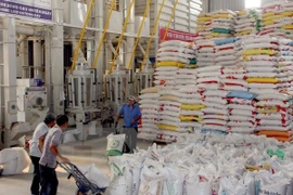 Tailandia despliega medidas para apoyar a campesinos afectados por inundaciones
