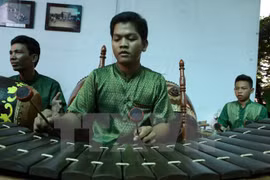 Celebrarán segundo Festival de Canto de aficionados en Binh Duong