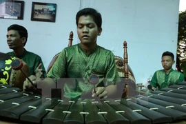 Celebrarán segundo Festival de Canto de aficionados en Binh Duong