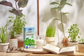 Alimentos orgánicos: Nueva tendencia de consumidores vietnamitas 