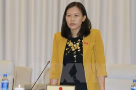 Vietnam por completar ley sobre lucha anticorrupción