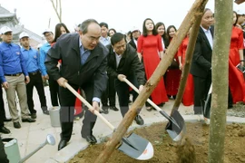 Promueven en Vietnam el movimiento de protección forestal