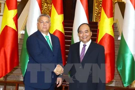 Vietnam y Hungría trazan esquema de cooperación en futuro