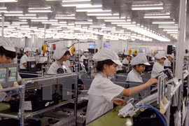 Disminuye el número de nuevas empresas creadas en Vietnam 