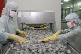 Australia alivia medida de suspensión de importaciones de camarón de Vietnam
