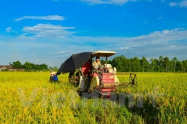 Vietnam propone soluciones para desarrollo del sector agrícola y seguridad alimentaria