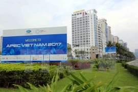 Afianza Vietnam su papel activo y responsable en APEC