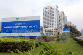 Afianza Vietnam su papel activo y responsable en APEC