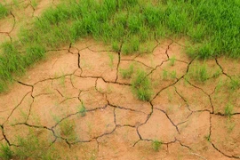 Vietnam implementará 24 proyectos en respuesta al cambio climático en Delta del Mekong