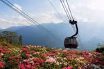 Fansipan, fascinante destino para observar las azaleas desde el punto más alto de Vietnam