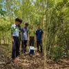 El lugar de liberación se selecciona cuidadosamente para proporcionar las condiciones ecológicas adecuadas y mejorar las posibilidades de supervivencia del pangolín en la naturaleza. (Foto: VNA)