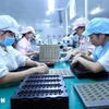 Trabajadoras en la línea de ensamblaje de componentes electrónicos en la fábrica de Bao Sen (Bac Giang). (Fuente: VNA)