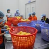 Procesamiento de frutas para la producción de jugos en la Compañía de Bebidas Wana (Parque Industrial Chau Duc, Ba Ria–Vung Tau). Foto: VNA
