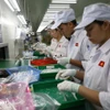 Muchas empresas se han convertido en proveedores de primer nivel de corporaciones multinacionales. (Foto: Vietnam+)