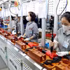 Trabajadores fabrican herramientas eléctricas manuales en la compañía Keystone Electrical Vietnam (Parque Industrial Lien Ha Thai), en la comuna de Thai Thuy, provincia de Hung Yen. (Fuente: VNA)