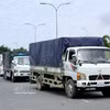 Camiones de carga buscan completar los trámites de importación en el paso fronterizo terrestre internacional de Khanh Binh. (Foto: VNA)