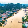 La zona de la aldea de Kenh Ga en la comuna de Gia Vien, provincia de Ninh Binh, está profundamente inundada. (Foto: VNA)