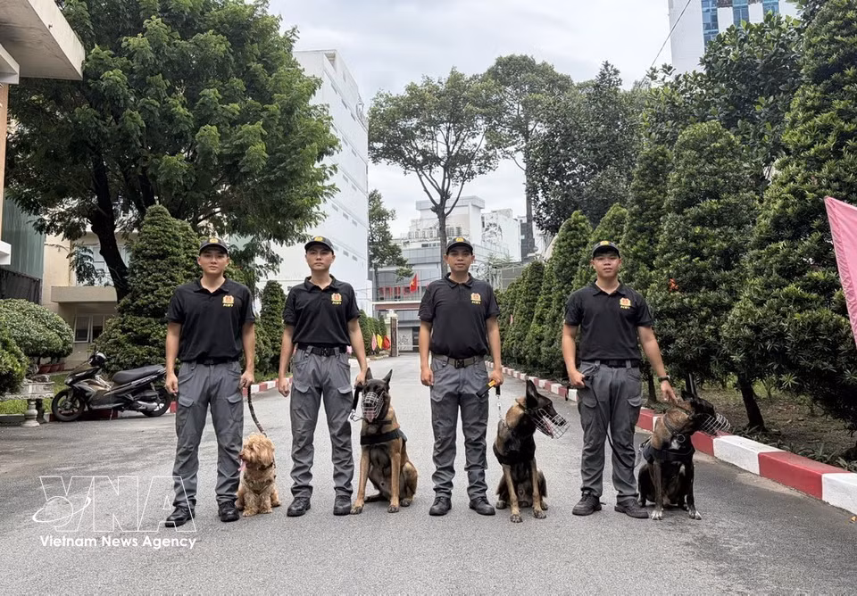 Los canes de la División de Protección de Seguridad del Sur junto a sus adiestradores. Foto: Hong Dat – VNA