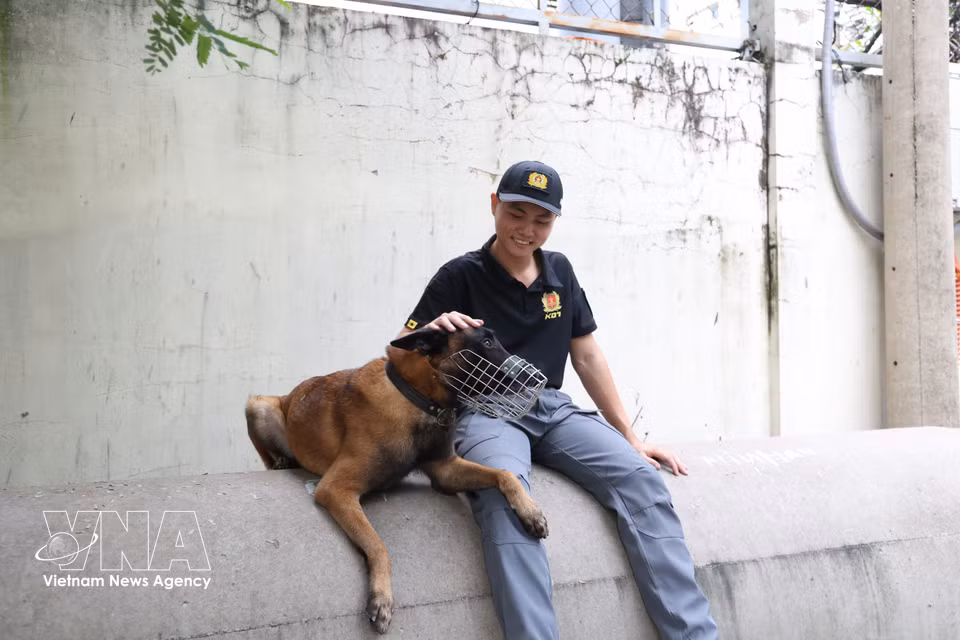 Un momento de descanso y de interacción entre Rich, agente canino, y su adiestrador, el subteniente primero Le Tan Thong. Foto: Hong Dat – VNA