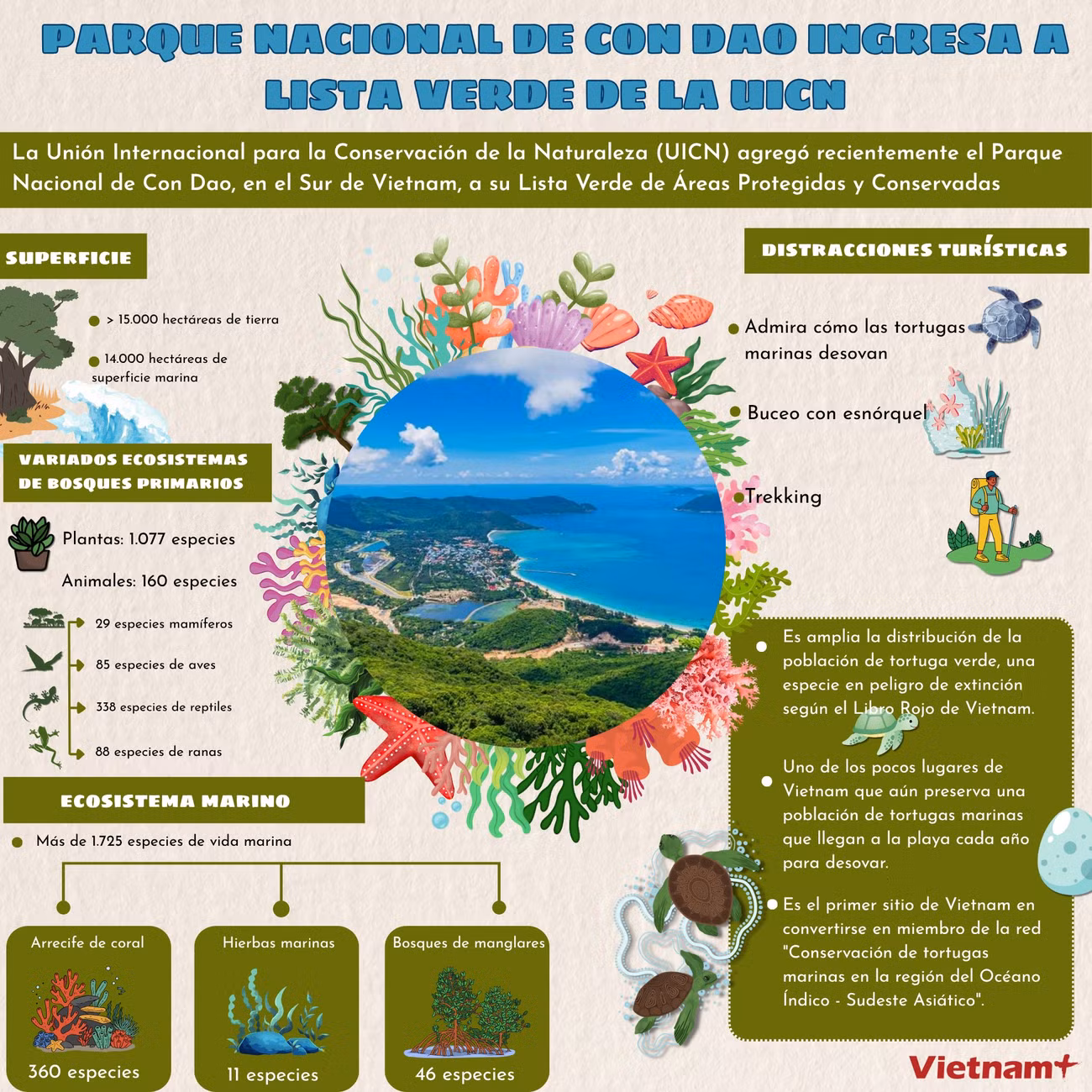 t10-con-dao-tbn-tung.png
