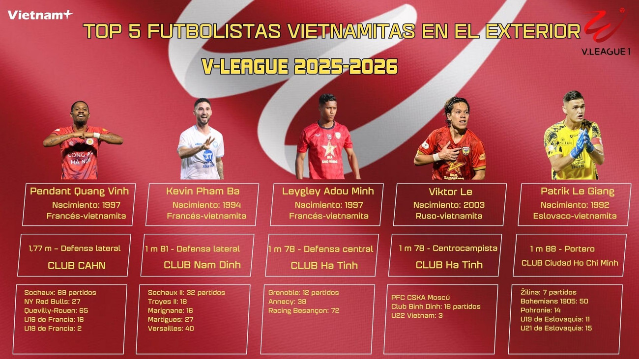 copy-of-top-5-viet-kieu-v-league-3.jpg