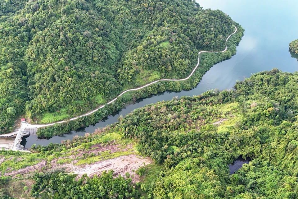 El camino hacia el embalse del lago Da Teh. Foto: VNA