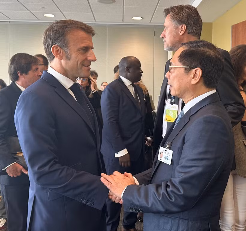 El viceprimer ministro y canciller de Vietnam, Bui Thanh Son, y el presidente francés, Emmanuel Macron. (Fuente:VNA)