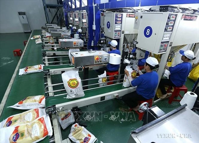 Línea de envasado de arroz para exportación en la fábrica de la compañía agrícola de alta tecnología Trung An (ciudad de Can Tho). Foto de ilustración. (Fuente: VNA)