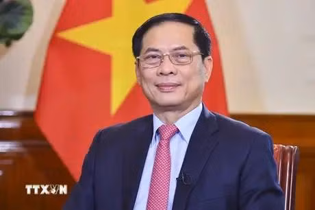 El ministro de Asuntos Exteriores de Vietnam, Bui Thanh Son. (Fuente:VNA)