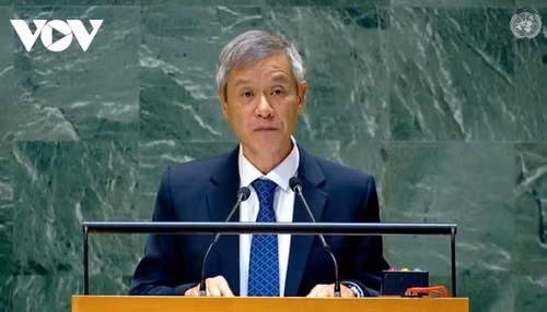 El embajador Nguyen Minh Vu, asistente del ministro de Asuntos Exteriores de Vietnam, habla en el evento. (Fuente:VOV)