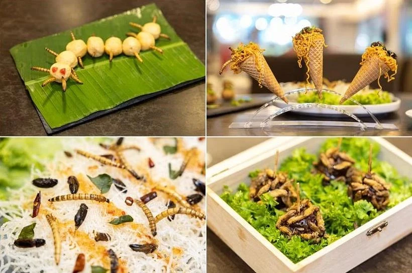 Singapur aprueba el consumo de algunas especies de insectos. (Fuente:The Straits Times)