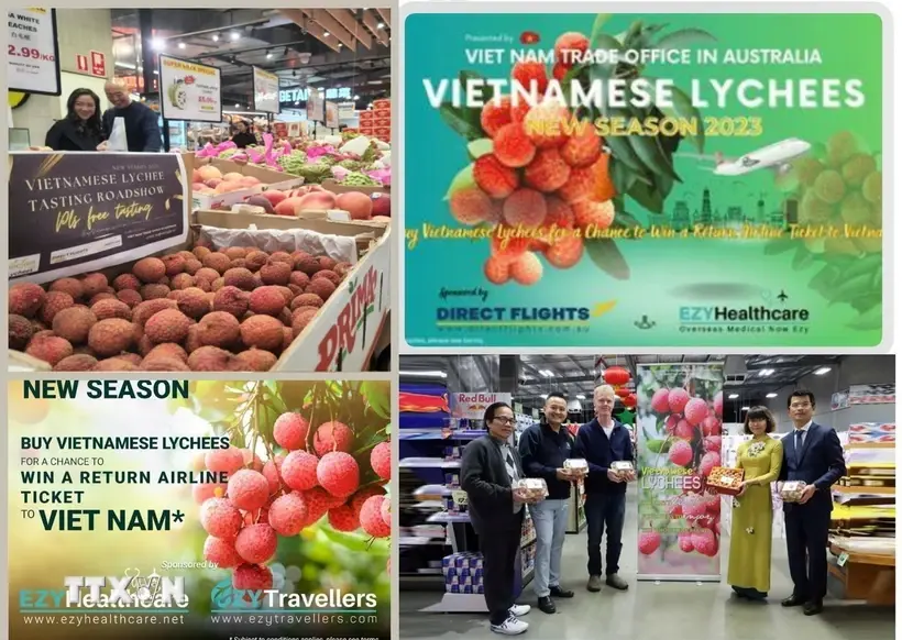 La Oficina Comercial de Vietnam en Australia ha llevado a cabo una serie de actividades de promoción del lichi en el país de Oceanía en los últimos tiempos. (Fuente:VNA)