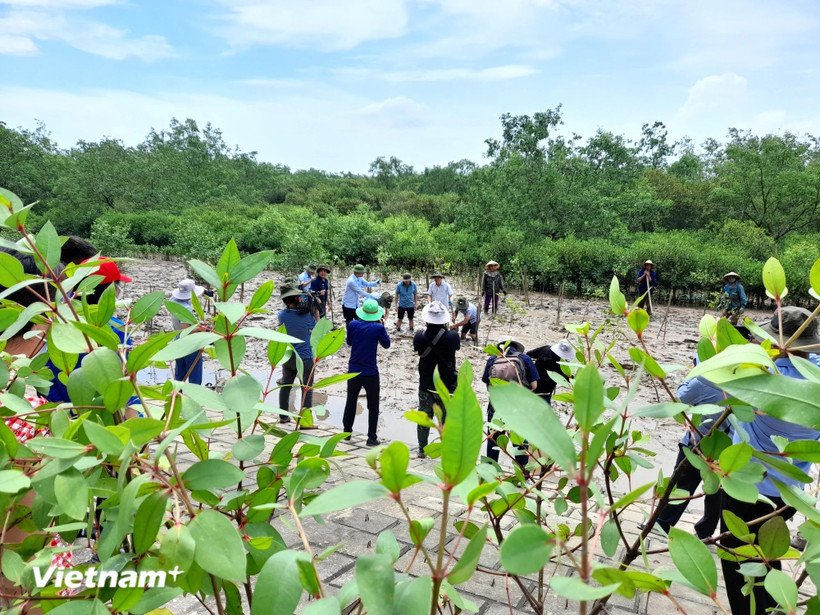 Buscan equilibrio entre desarrollo económico y conservación de la naturaleza y la biodiversidad. (Foto: Vietnam+)