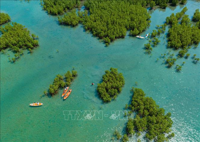 Bosque de manglares de Dam Bay, en la Bahía de Nha Trang, provincia de Khanh Hoa, visto desde arriba. (Fuente: VNA)
